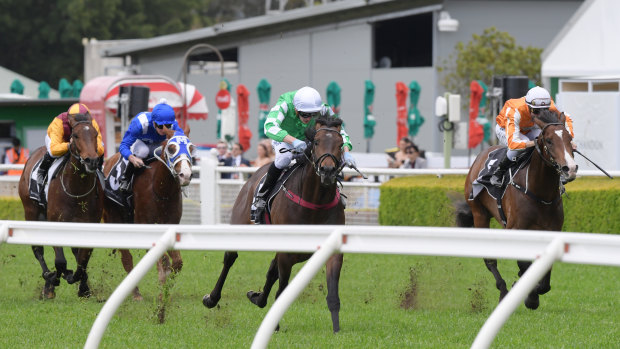 Right form: Yulong January wins at Randwick from the Ron Quinton-trained Royal Celebration (right). 