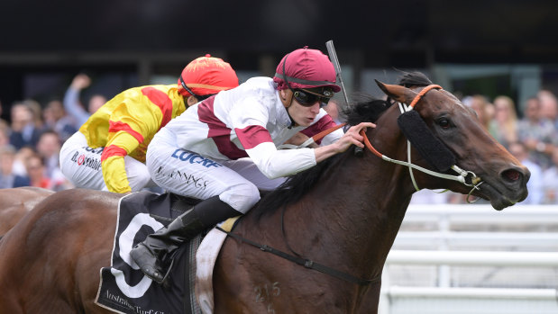 Special one: Diplomatico storms to victory in the Brian Crowley Stakes at Randwick.