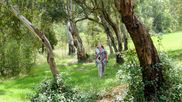 Friends of Banyule president Michelle Giovas in Yallambie's Borlase Reserve. The land has been acquired by the government for the North-East Link project.