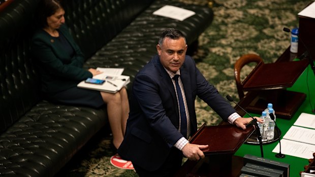 Deputy Premier John Barilaro in parliament on Thursday.