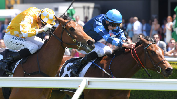 See You Soon scores on debut at Randwick ahead of Dame Giselle last month.