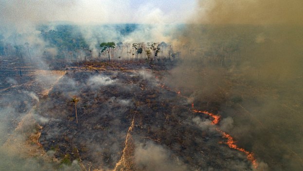 Large areas of the Amazon rainforest have burnt in recent years, often due to farming and land-clearing. Scientists fear too much fire in the “lungs of the planet” could trigger a tipping point of irreversible landscape change from jungle to savannah. 
