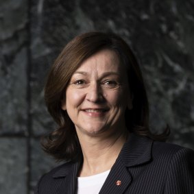 New NSW Liberal senator Maria Kovacic.