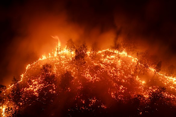 Forest fires occur annually in Indonesia, but this year’s devastation is the worst on record.