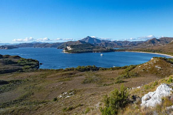 The bush and buttongrass fields above Spain Bay.