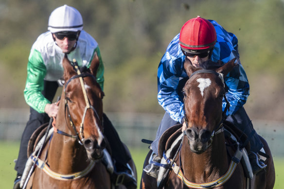 Funstar (right) has been scratched from the Winx Stakes in favour of an easier route.