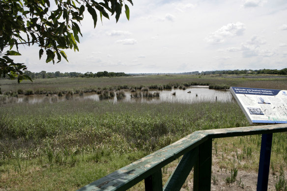 The nearby Edithvale-Seaford Wetlands.