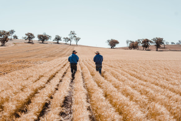 EThe government’s Emissions Reduction Fund offers farmers payments of $17 a tonne for soil carbon sequestration.