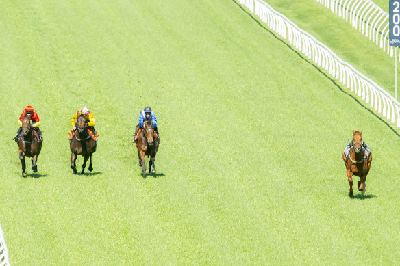 A riderless Nature Strip takes off around the Randwick circuit.