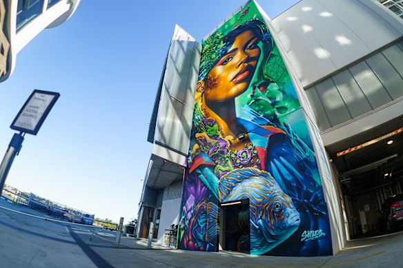 A mural by street artist Sofles at Northshore Hamilton.
