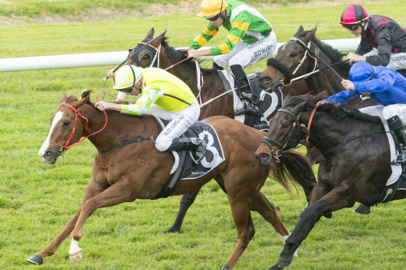 Eduardo charges away with the July Sprint at Rosehill.