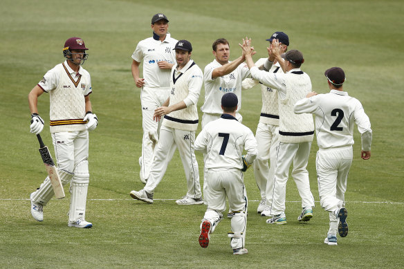 Arms up: James Pattinson celebrates after dismissing Cameron Gannon during day three of the Sheffield Shield match between Victoria and Queensland at the MCG. 