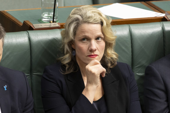 Minister for Home Affairs Clare O’Neil said ankle monitoring bracelets were being rolled but, but deferred specifics to Immigration Minister Andrew Giles.