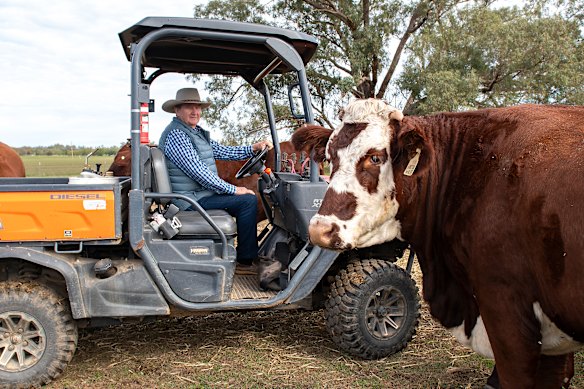 Jim Walker with his cattle on his property at Rawsonville just outside Dubbo.