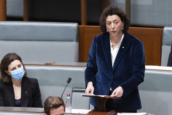 Monique Ryan gives her first speech in the House of Representatives in July.