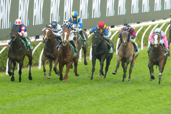 Spaceboy on the fence wins a game of follow-the-leader on Randwick's Kensington track on Saturday.