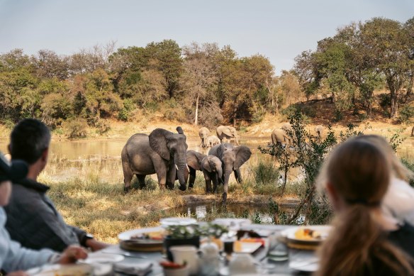 Nature up close at Simbavati River Lodge.