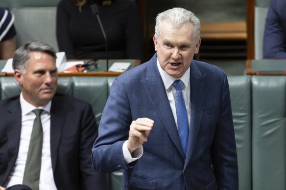 Workplace Relations Minister Tony Burke in question time on Thursday.