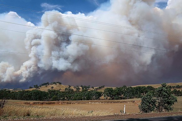 Uma espessa camada de fumaça cobre o Sim na sexta-feira.