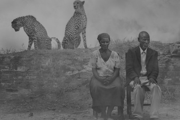 Regina, Jack, Levi and Diesel, Zimbabwe, 2020. 