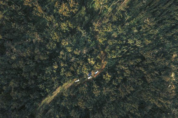 A bird’s eye view of the Nungatta feral-free rewilding site in the South East Forest National Park in southern NSW.