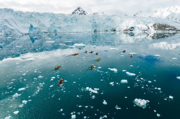 Sea kayaking through frigid waters amid floating “bergy bits”.