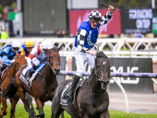 Gold Trip, with jockey Mark Zahra, wins the Melbourne Cup.