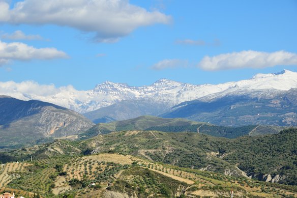 The snow-capped Sierra Nevada mountains