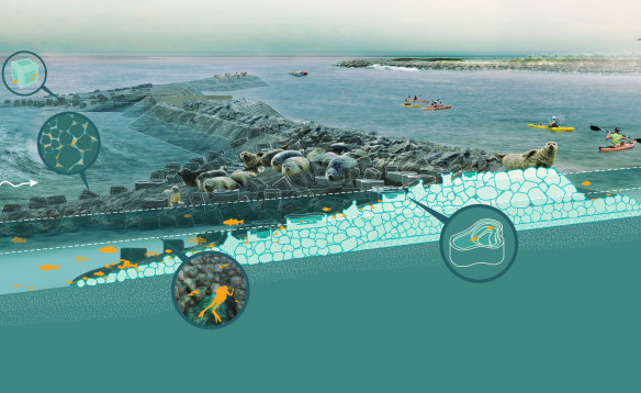 Risk reduction and habitat creation - living breakwater concept. 