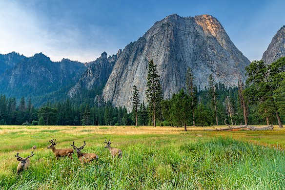 The majestic El Capitan.