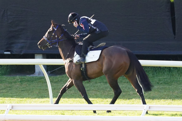 Damian Lane rides Amelia’s Jewel during trackwork at Flemington Racecourse on Tuesday.