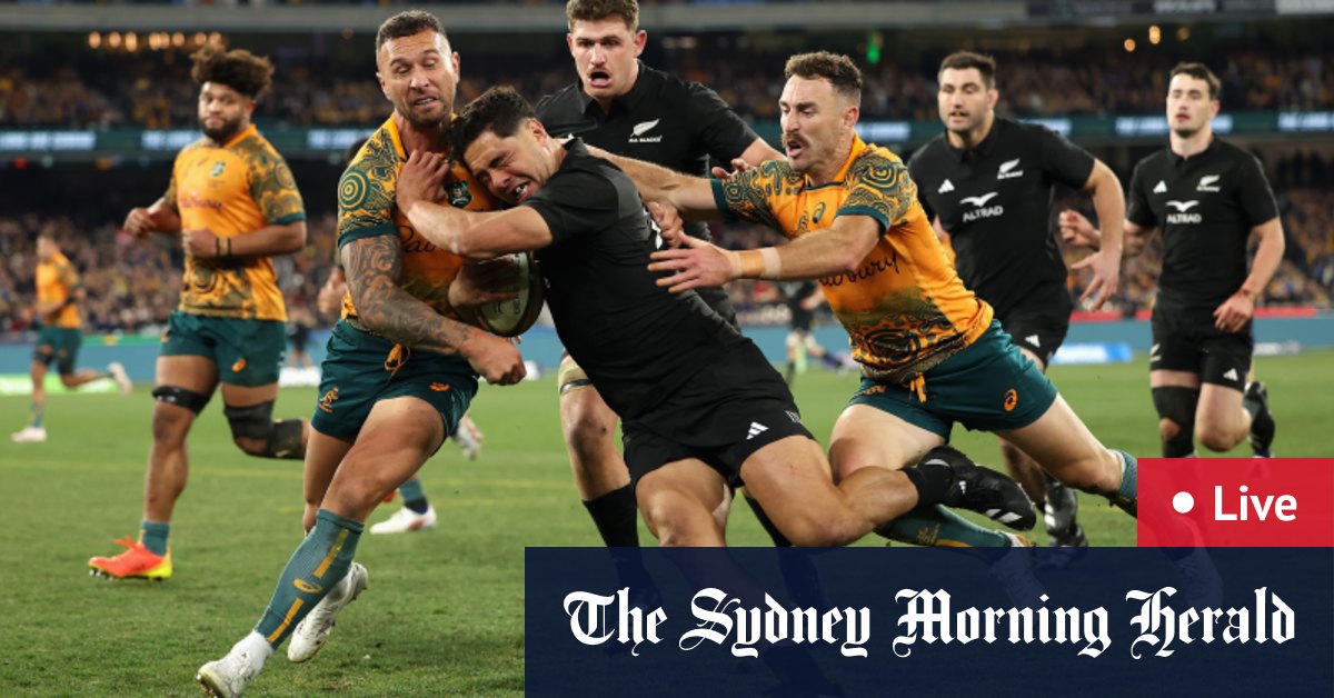Bledisloe Cup 2023 LIVE updates Australia Wallabies v New Zealand All