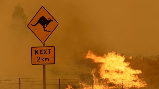 The black summer bushfires have given a horrifying new backdrop to the debate over emissions and what failing to cut them would mean.