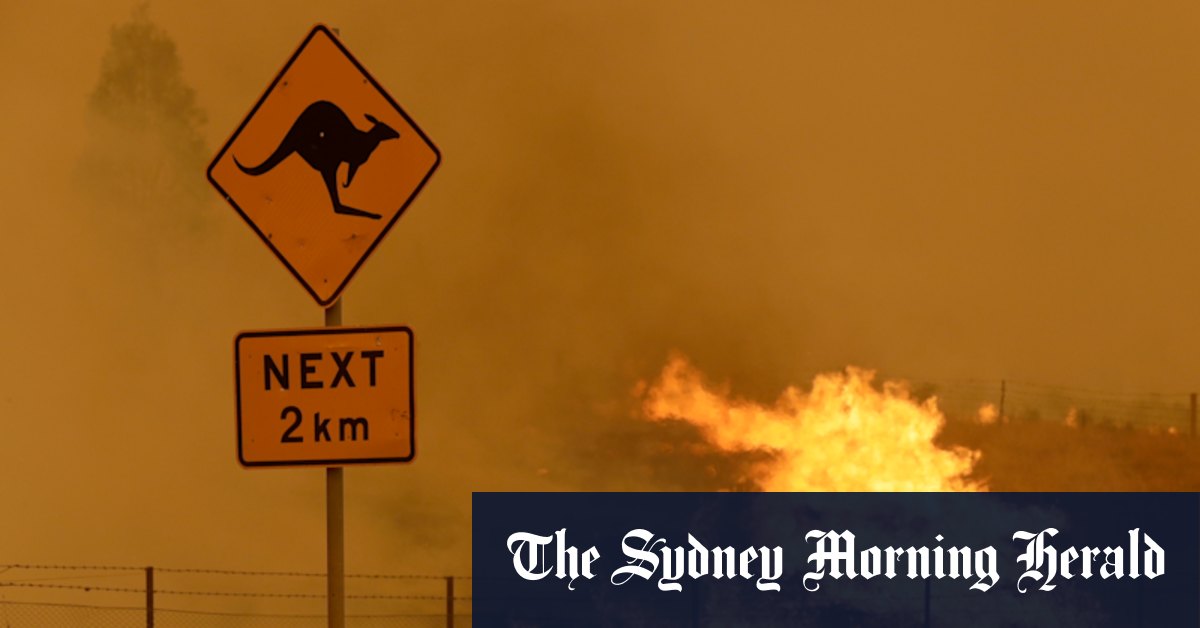 Climate change: The Nationals spilling blood on the wrong spot - Vimarsana News