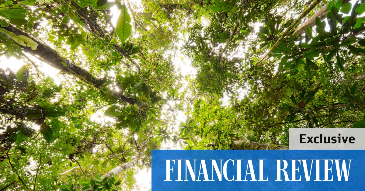 Xpansiv platform to launch carbon credit trading - Vimarsana News