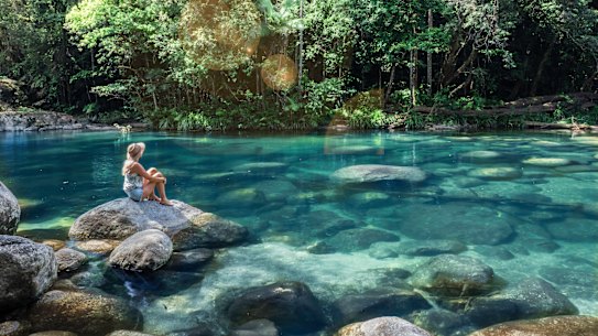 Swim with turtles or enjoy a waterside picnic at Mossman Gorge.