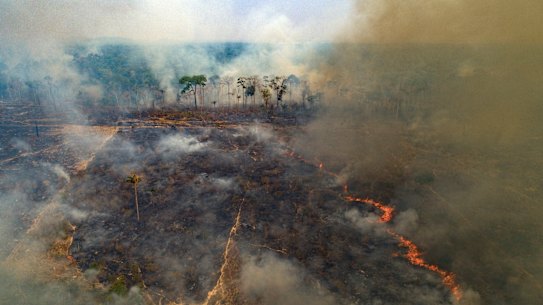 Large areas of the Amazon rainforest have burnt in recent years, often due to farming and land-clearing. Scientists fear too much fire in the “lungs of the planet” could trigger a tipping point of irreversible landscape change from jungle to savannah. 