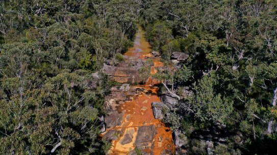 Discolouration in the Eastern Tributary, in the Woronora catchment area, south of Sydney. 