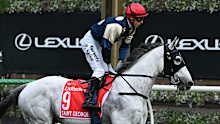 Saint George is out of the Melbourne Cup.
