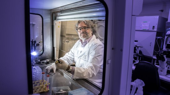 Jose Polo from Monash led the development of non-natural embryos for research.