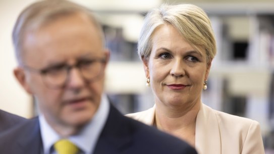 Federal Environment Minister Tanya Plibersek has her hands full delivering Labor’s ambitious reform agenda. 
