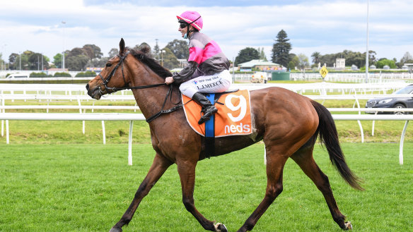 Sirileo Miss has returned to racing after testing positive to formestane, a product used to treat breast cancer.