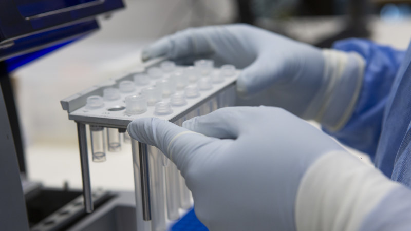 Queensland lab boss has ‘less than a week’ to save her job
