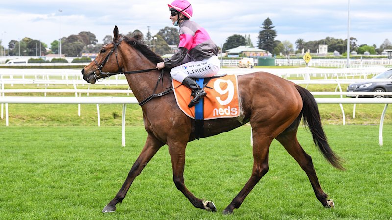 ‘What have they done?’ Horse trainers to learn their fate in breast cancer drug case