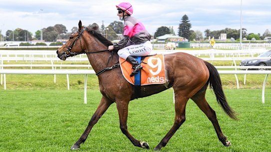 Sirileo Miss returns to racing after testing positive to formestane, a product used to treat breast cancer.