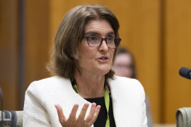 Governor of the Reserve Bank of Australia, Michele Bullock, during a hearing at Parliament House.