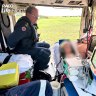 Girl remains in hospital after dingo attack
