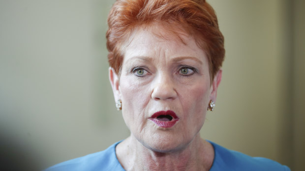 ‘I want a say’: Pauline Hanson pushes to write Voice referendum No pamphlet