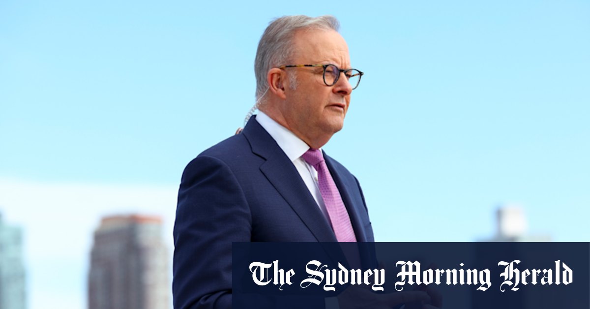 Albanese says he’d be surprised if Optus CEO wasn’t considering his future
