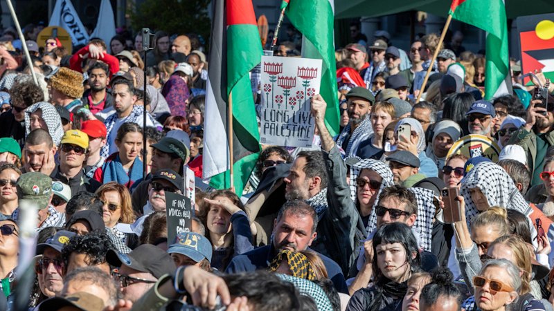 Ceasefire called on Sunday pro-Palestine protests